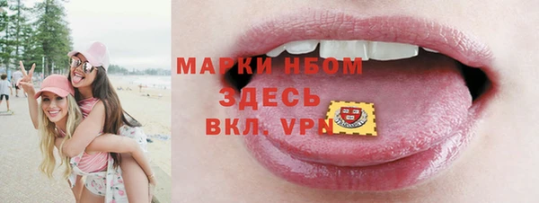 стаф Абаза