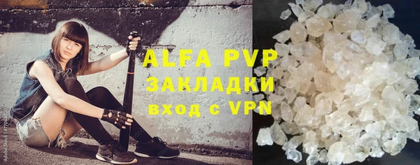 стаф Абаза