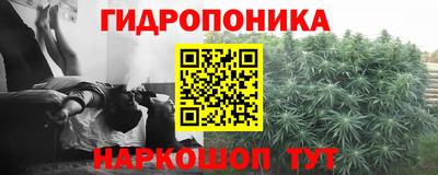 ПСИЛОЦИБИНОВЫЕ ГРИБЫ Гусиноозёрск
