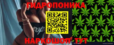 ПСИЛОЦИБИНОВЫЕ ГРИБЫ Гусиноозёрск
